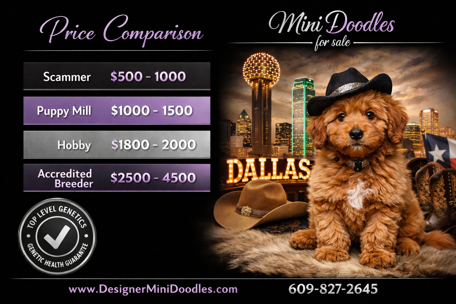mini doodles for sale Dallas