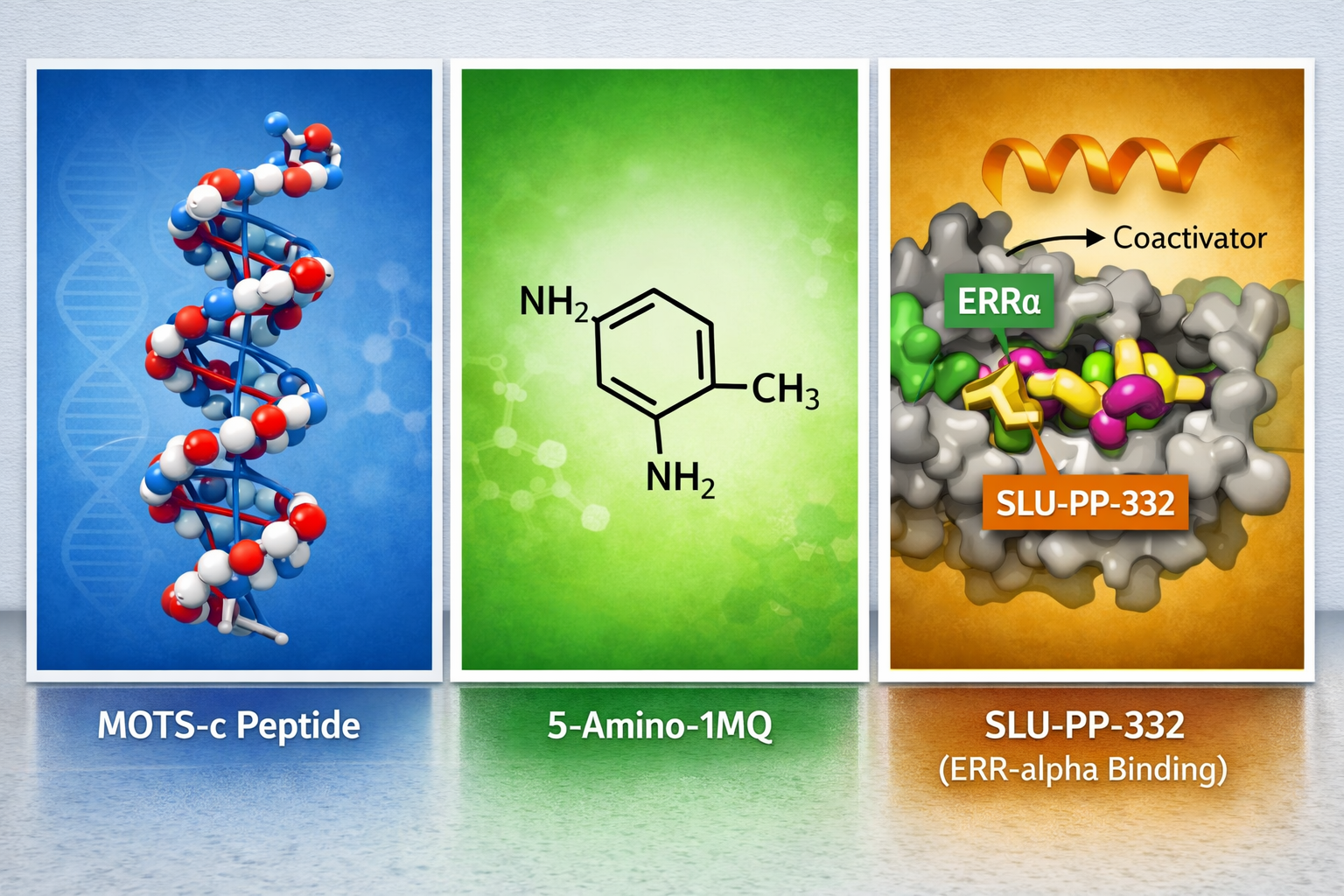 5‑Amino‑1MQ and SLU‑PP‑332: Complementary Tools in Metabolic Research Models