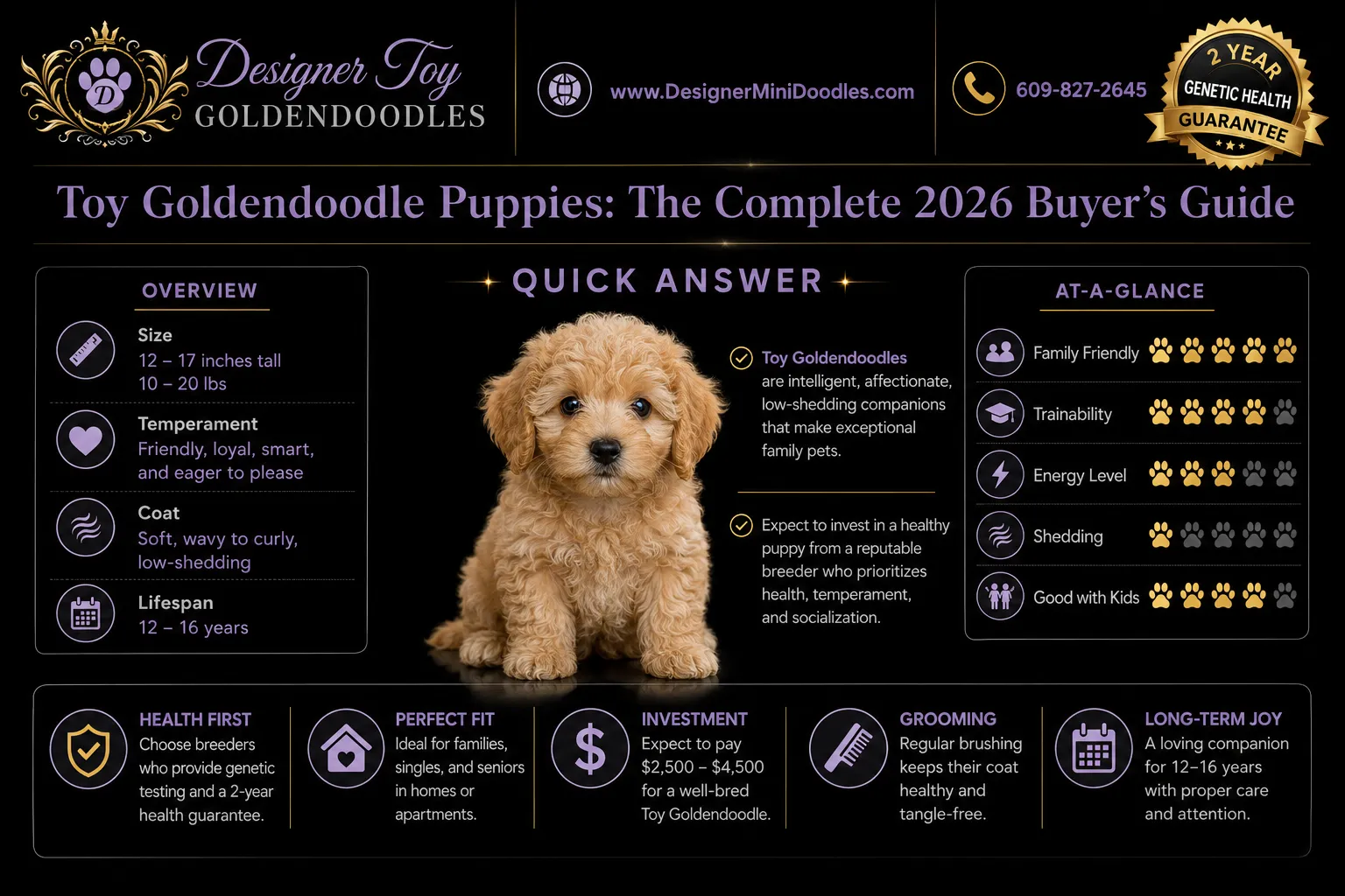 toy goldendoodle puppies