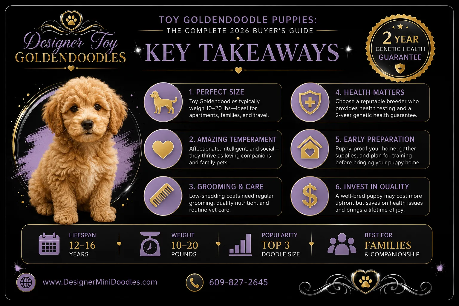 Toy Goldendoodle Puppies Price