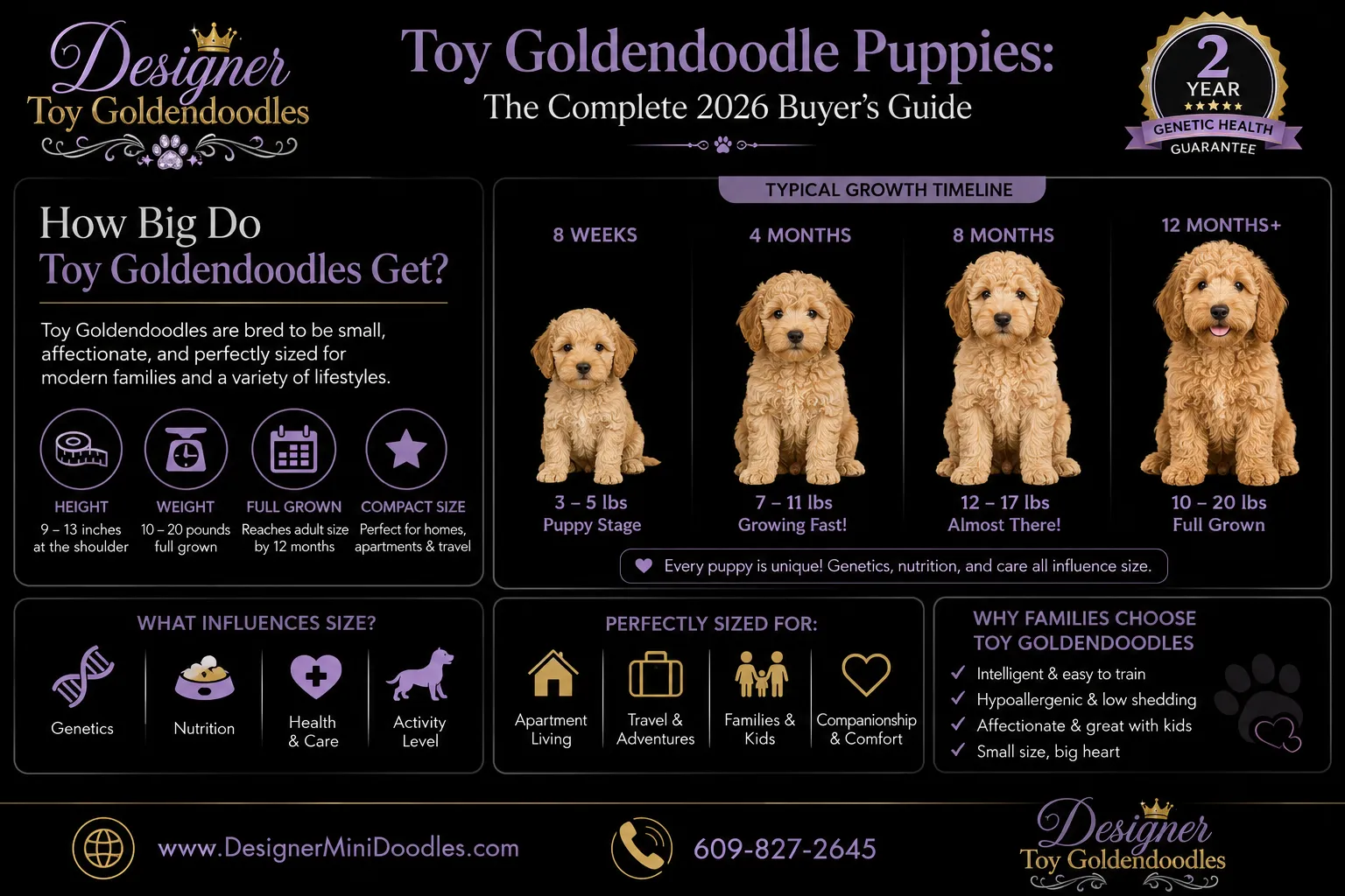 Toy Goldendoodle size