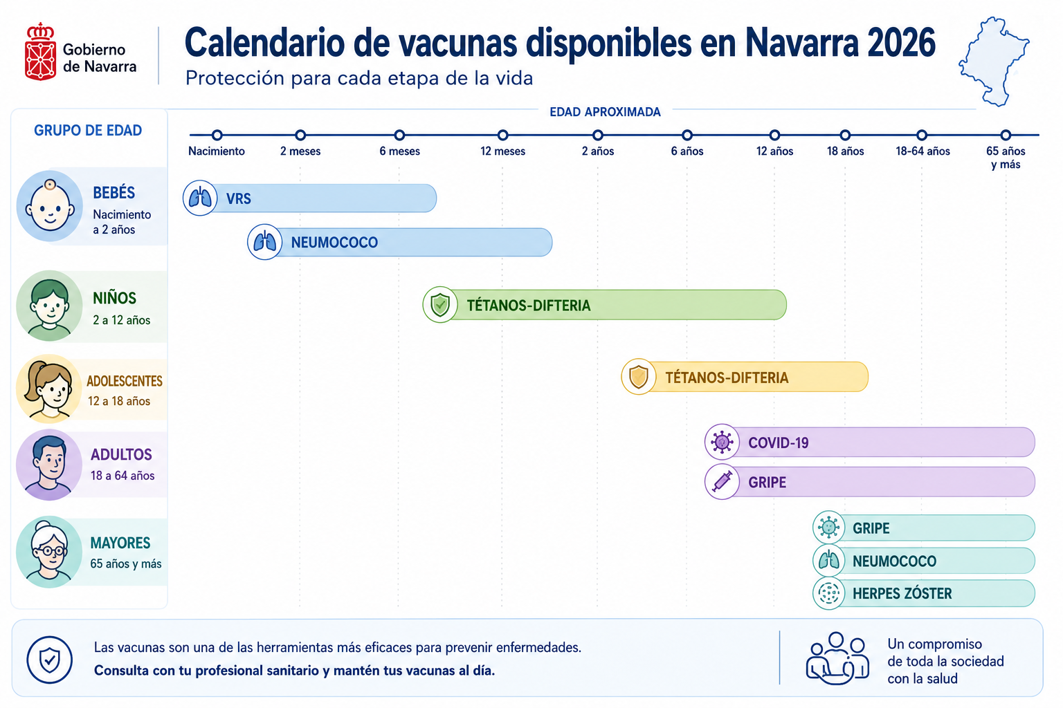 () infographic-style image showing a vertical timeline of vaccines available in Navarra in 2026, with icons for each age