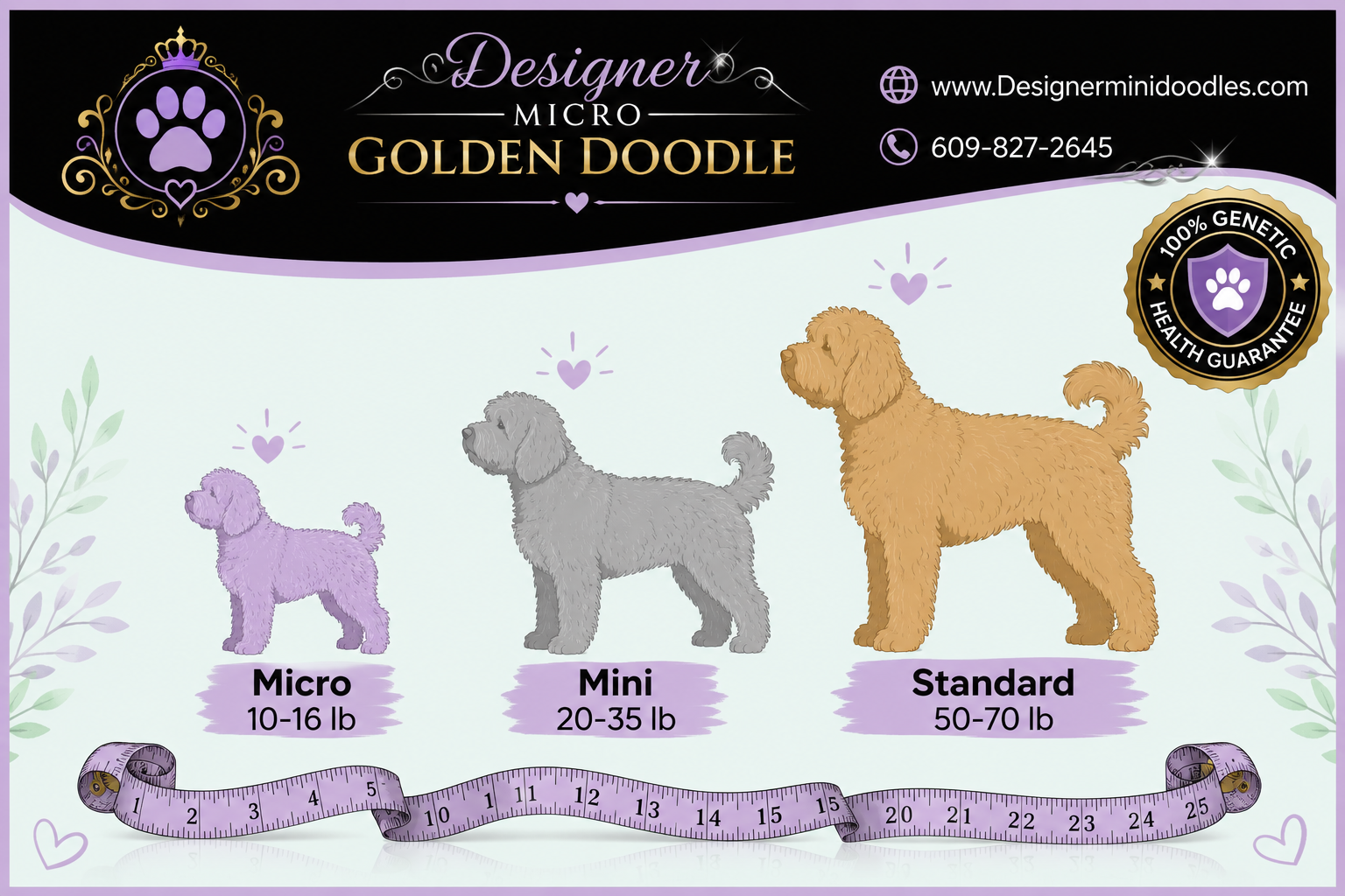 micro golden doodle Dallas