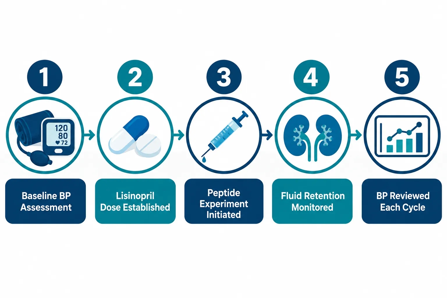 GH Secretagogues, Fluid Balance, and Blood-Pressure Risk