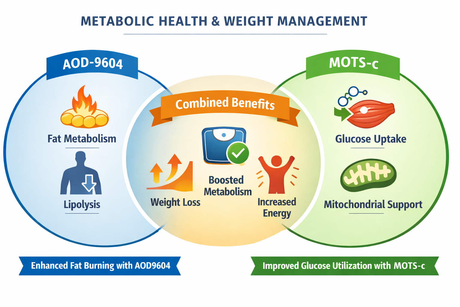 A comparison chart or diagram illustrating the synergistic effects of aod9604 and mots-c peptide on metabolic health and weight management. 