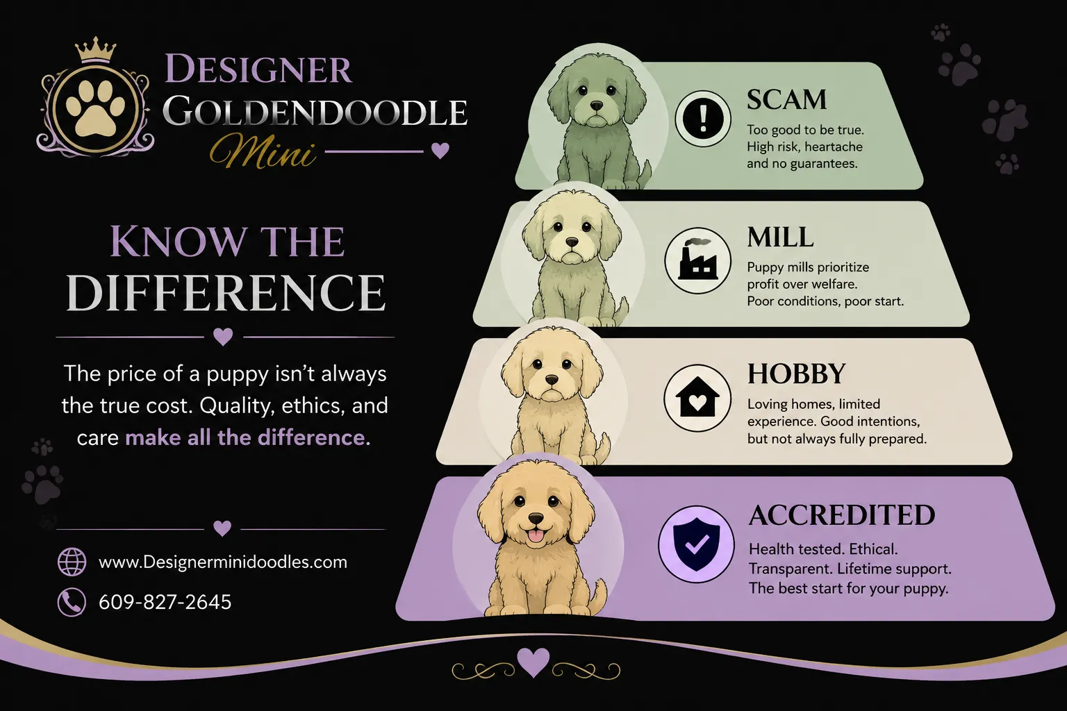 goldendoodle mini breeders Alabama