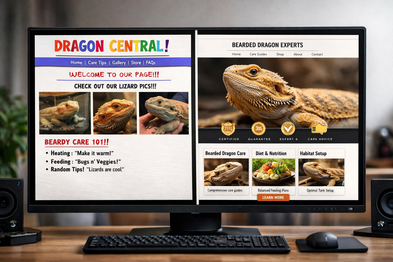 Professional landscape image (1536x1024) showing split-screen comparison of amateur vs professional bearded dragon websites, left side displ