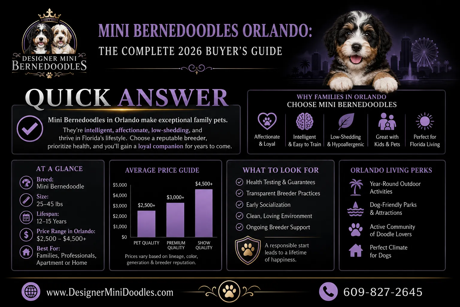 mini bernedoodles Orlando