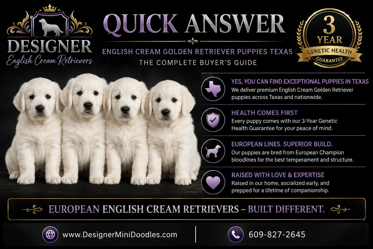 English cream golden retriever puppies Texas