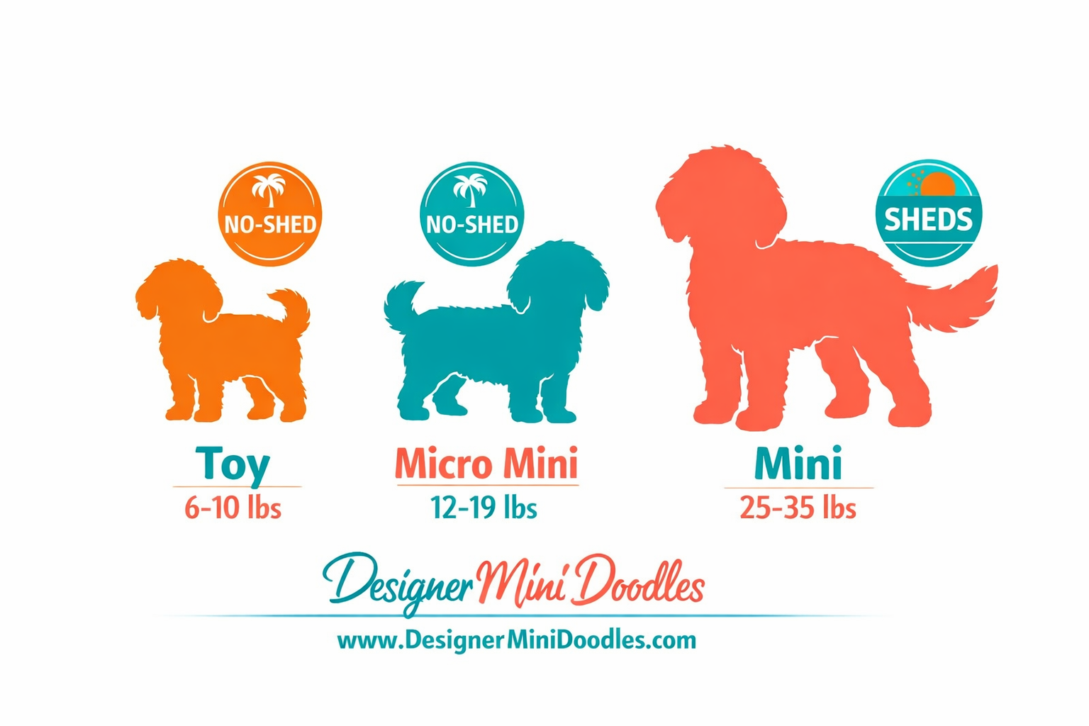 () infographic-style image showing three side-by-side goldendoodle size silhouettes labeled Toy (6-10 lbs), Micro Mini