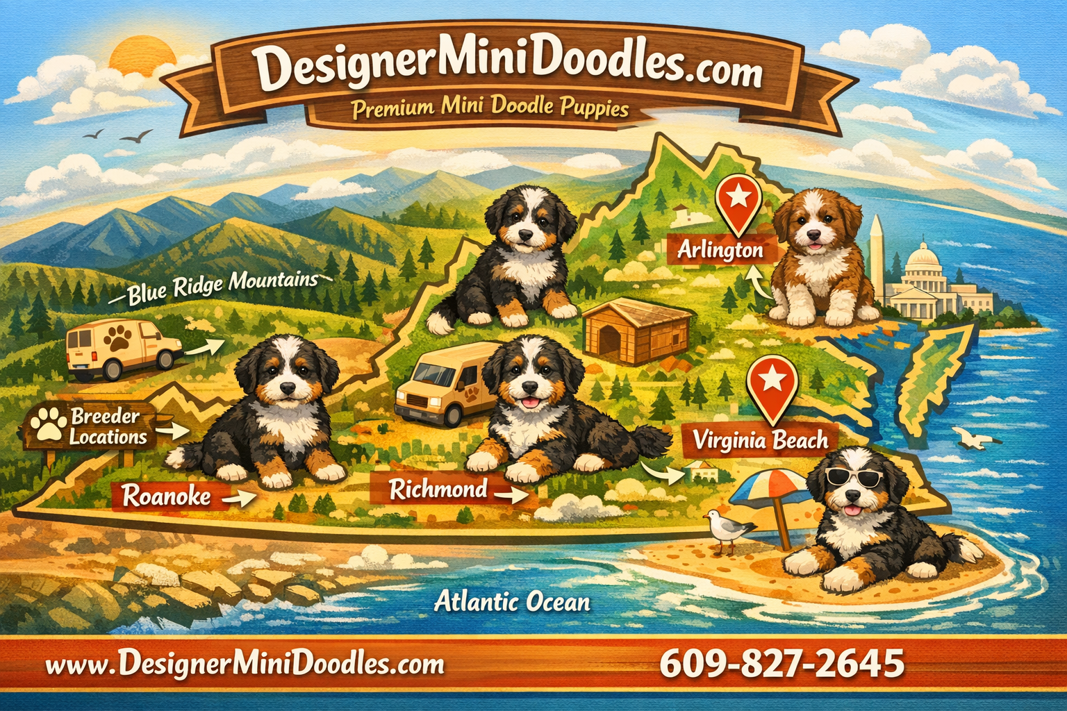 mini bernedoodles for sale Virginia