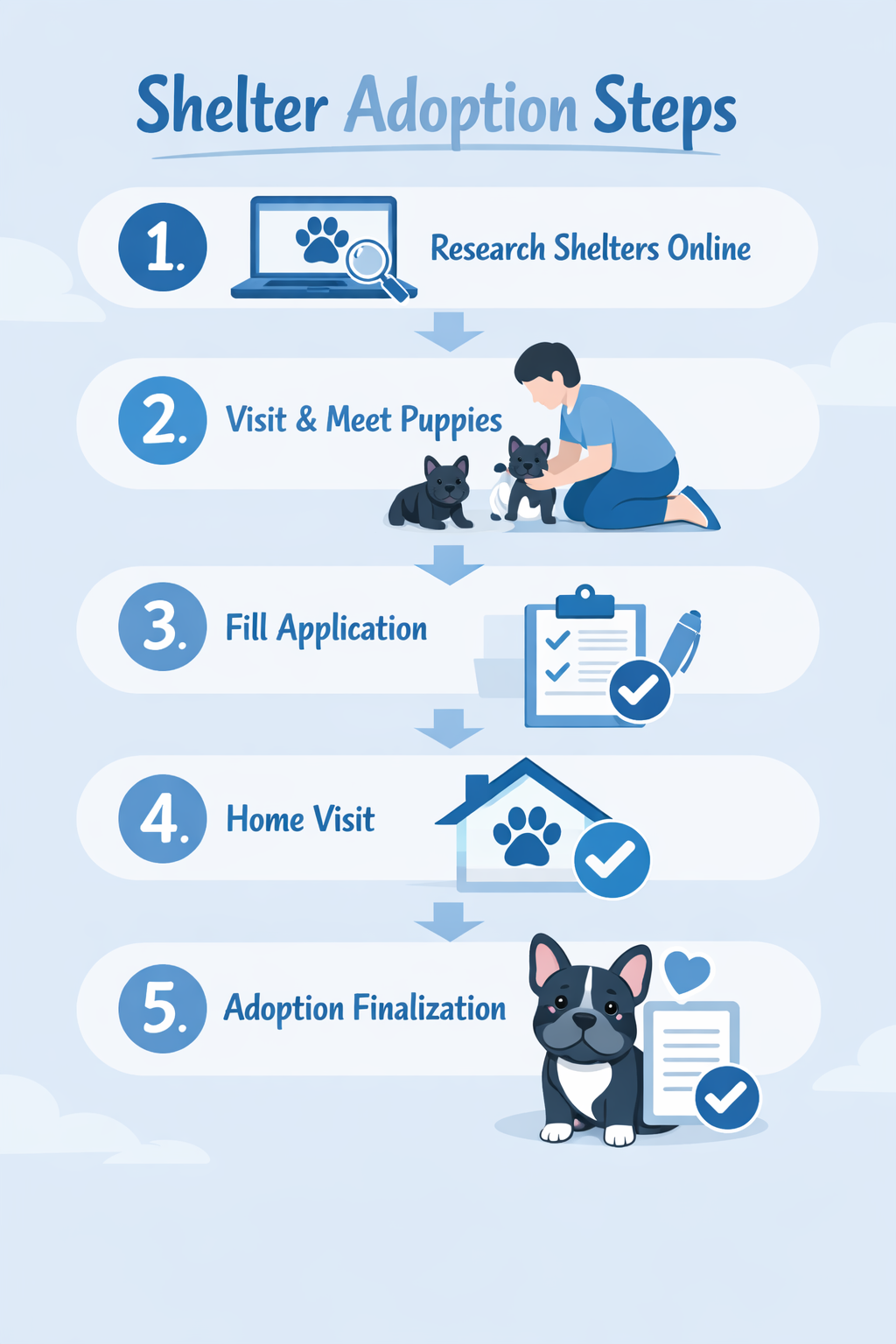 Portrait format (1024x1536) infographic showing step-by-step shelter adoption process with numbered icons: 1) Research shelters online 2) Vi