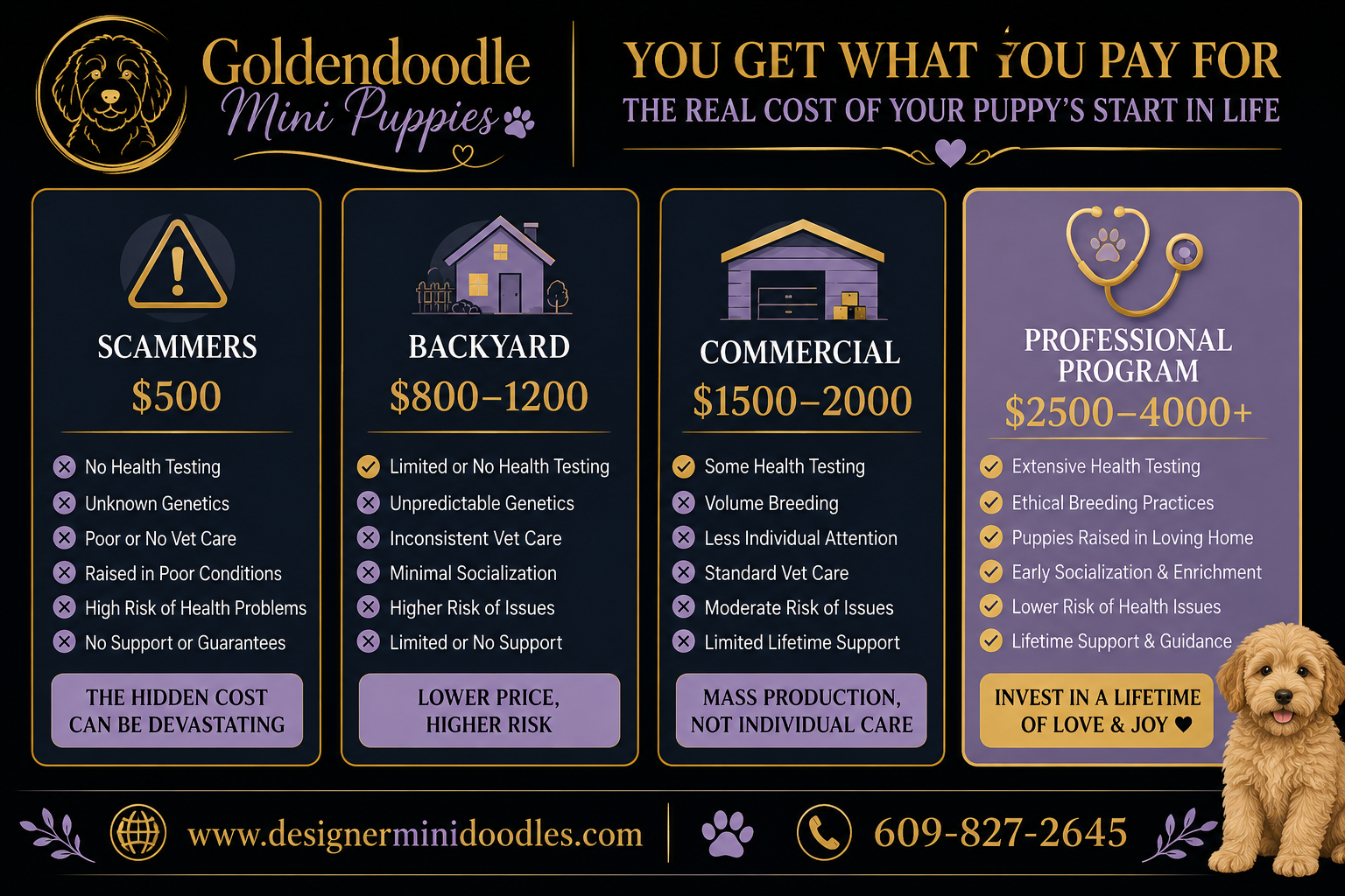 goldendoodle mini for sale near by