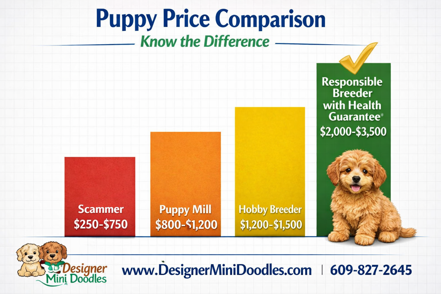 () creative price comparison bar graph infographic with four ascending price bars on a clean white background. Bars labeled