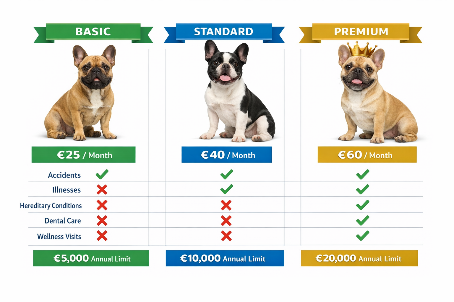 Professional landscape format (1536x1024) comparison chart displaying different insurance plan tiers (Basic, Standard, Premium) with coverag