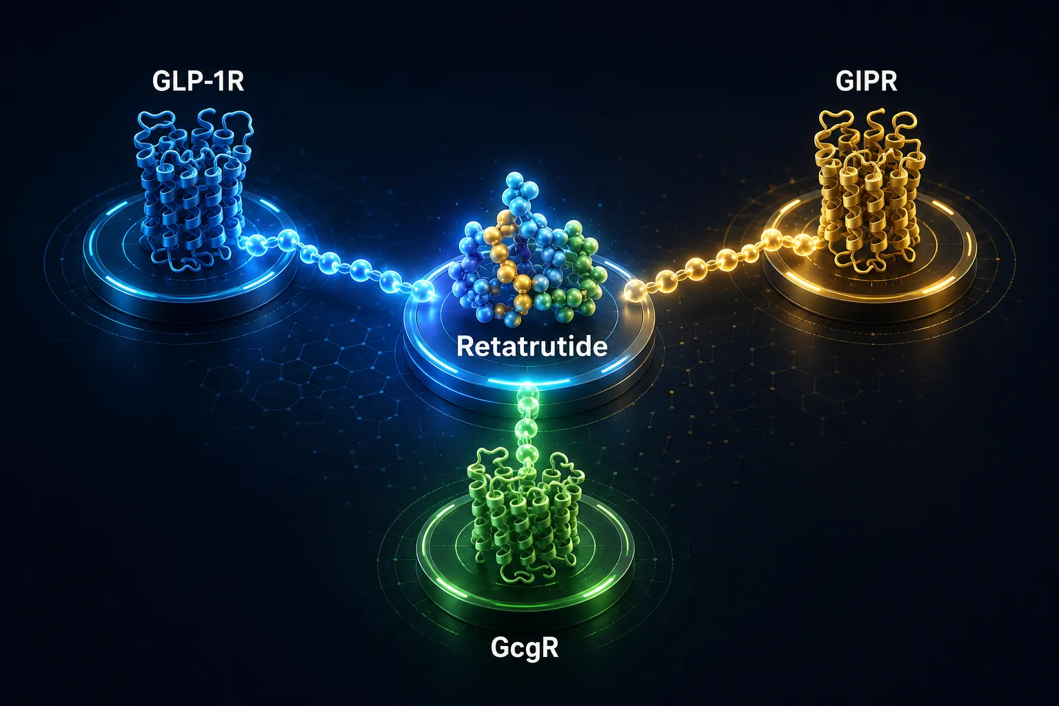 Isometric scientific illustration, (), showing three distinct receptor nodes — GLP-1R, GIPR, and GcgR — connected by glowing
