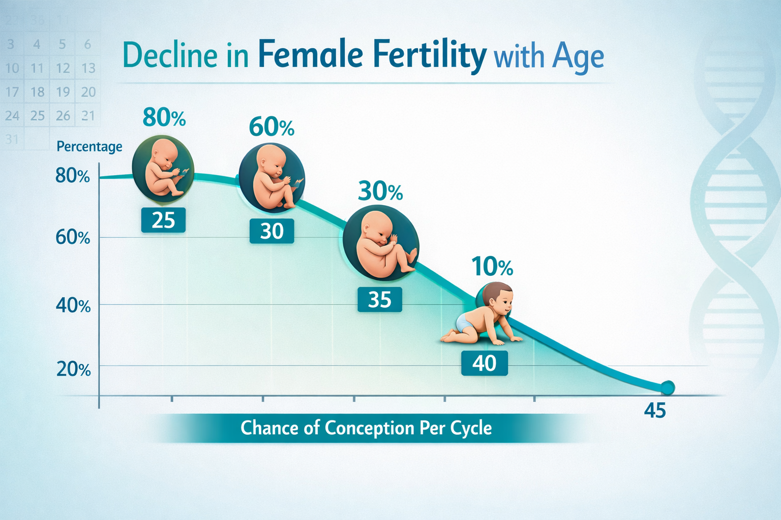 () image showing a stylized infographic illustrating the decline in female fertility with age. A timeline from age 20 to 45