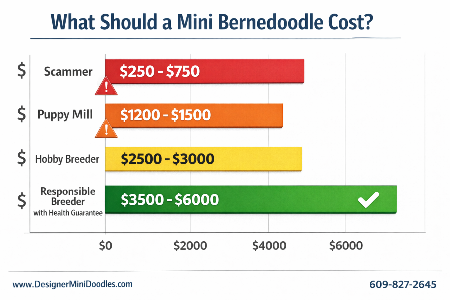 Detailed () infographic showing a horizontal bar chart comparing bernedoodle puppy price points: Scammer ($250-750) in red,