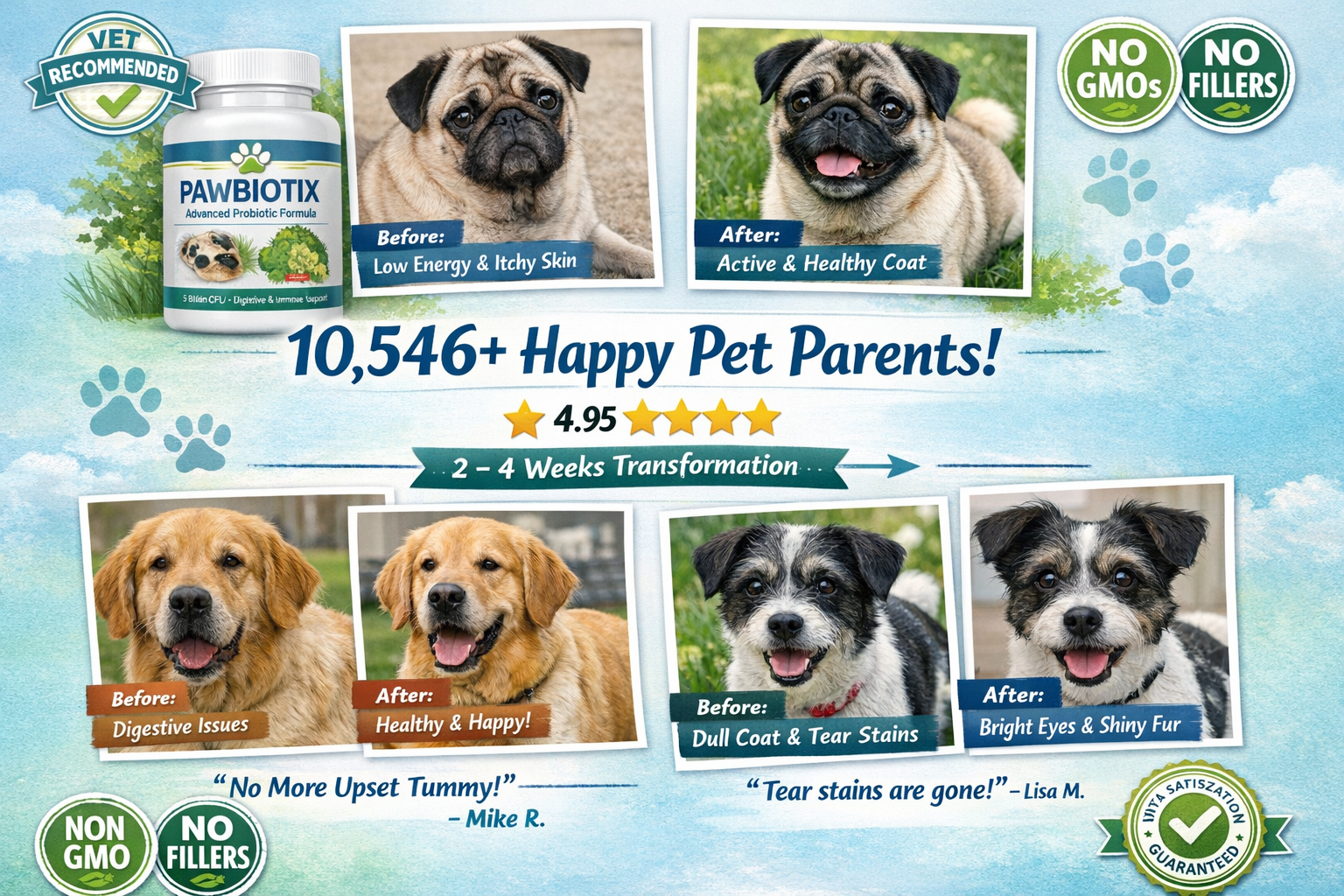 Portrait format (1024x1536) customer testimonial collage featuring real dog photos with health transformation stories, 4.95-star rating disp