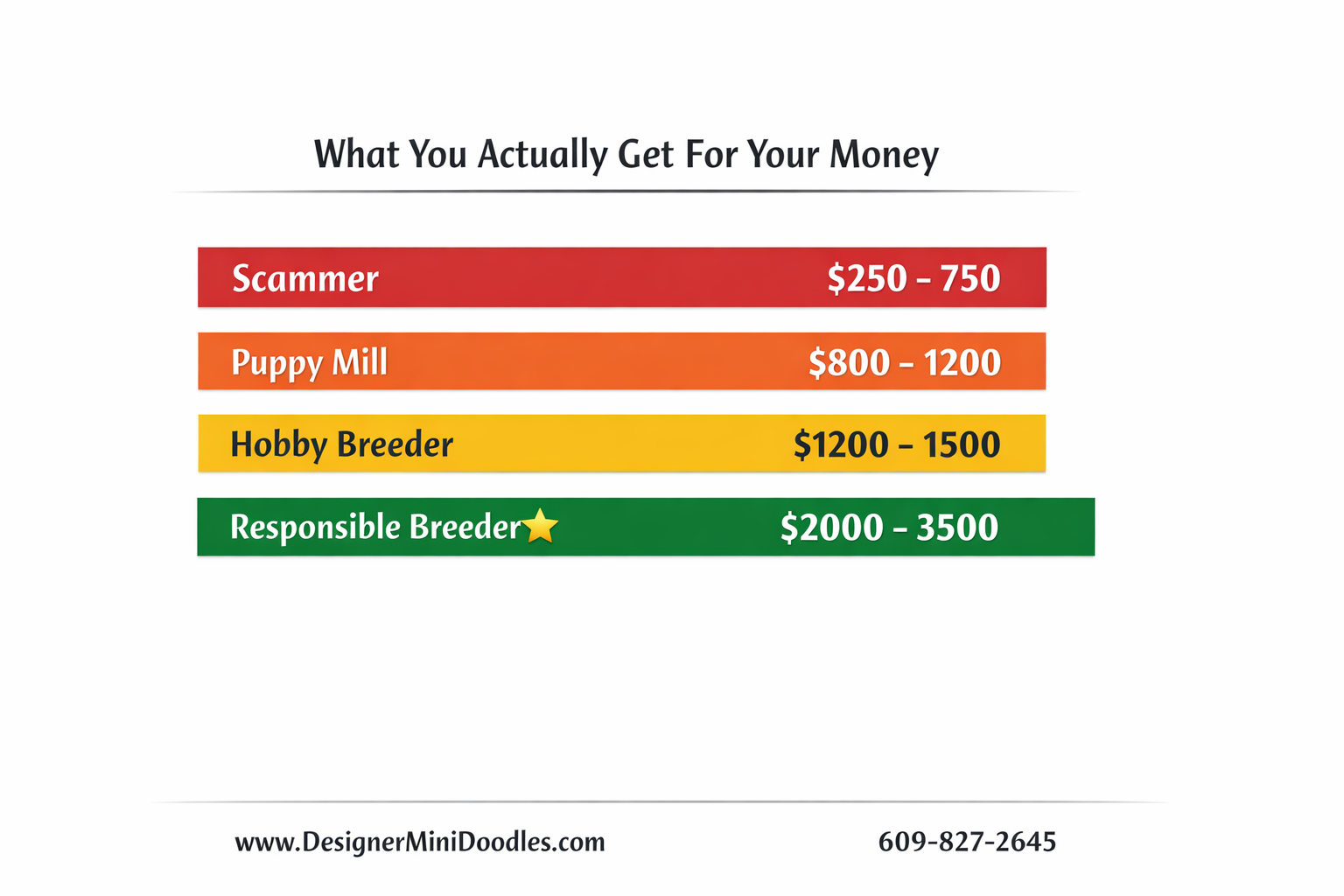 () price comparison bar chart infographic with five distinct colored bars: Scammer $250-750 (red), Puppy Mill $800-1200