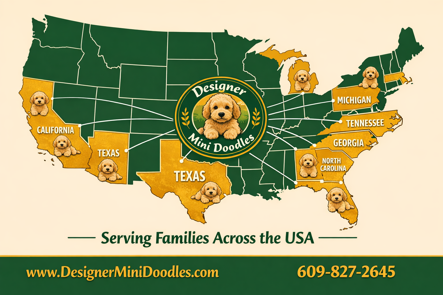 () US map infographic showing state labels for Florida, Texas, California, New York, North Carolina, Georgia, Tennessee,