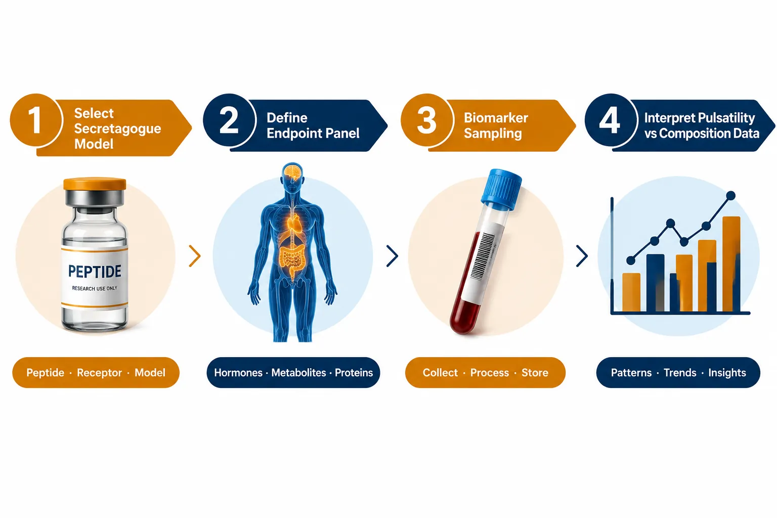 Tesamorelin vs Ipamorelin in Body Composition Research: Lab Modeling Strategies for Pulsatility, Lean Mass, and Recovery