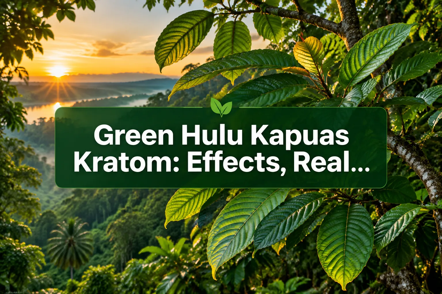 Professional () hero image with (≤42 chars): 'Green Hulu Kapuas Kratom: Effects, Real…' in crisp white centered on a deep
