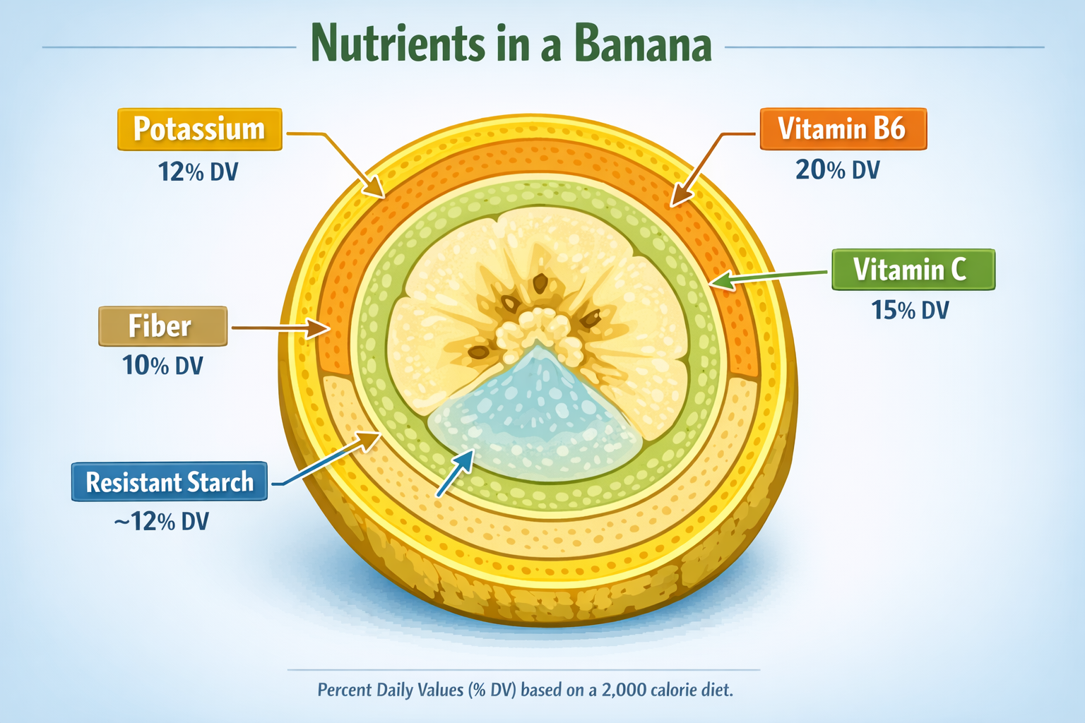 Detailed cross-section illustration of a banana showing labeled nutrient zones: potassium, vitamin B6, vitamin C, fiber,