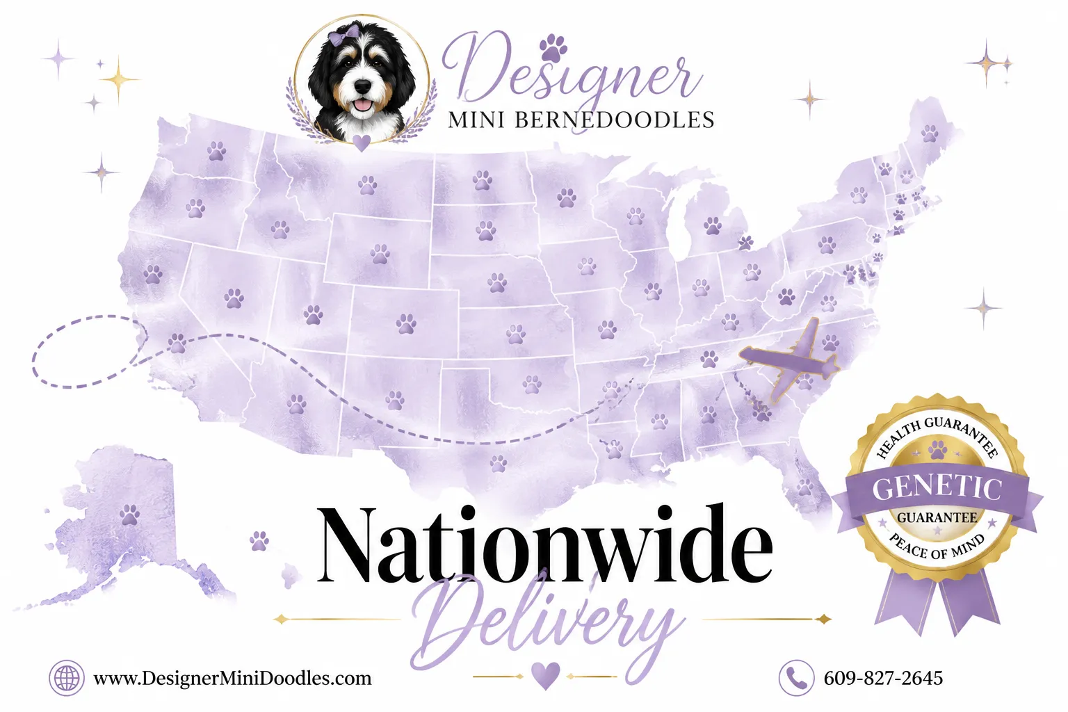 Mini Bernedoodle Grooming Requirements