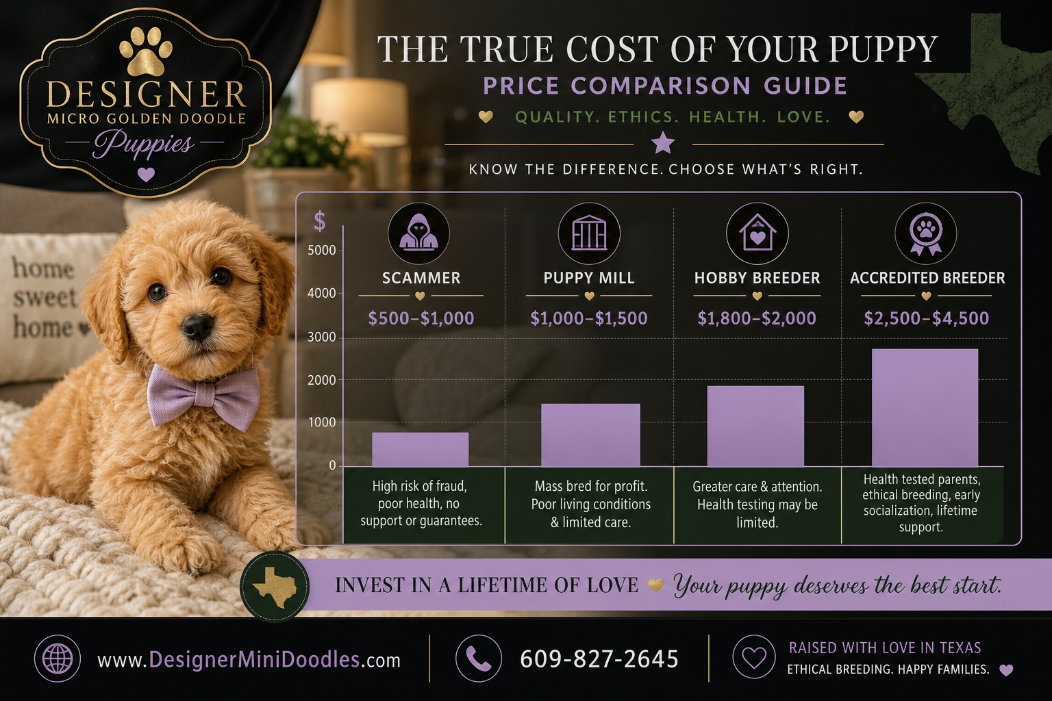 micro golden doodle puppies Fort Worth
