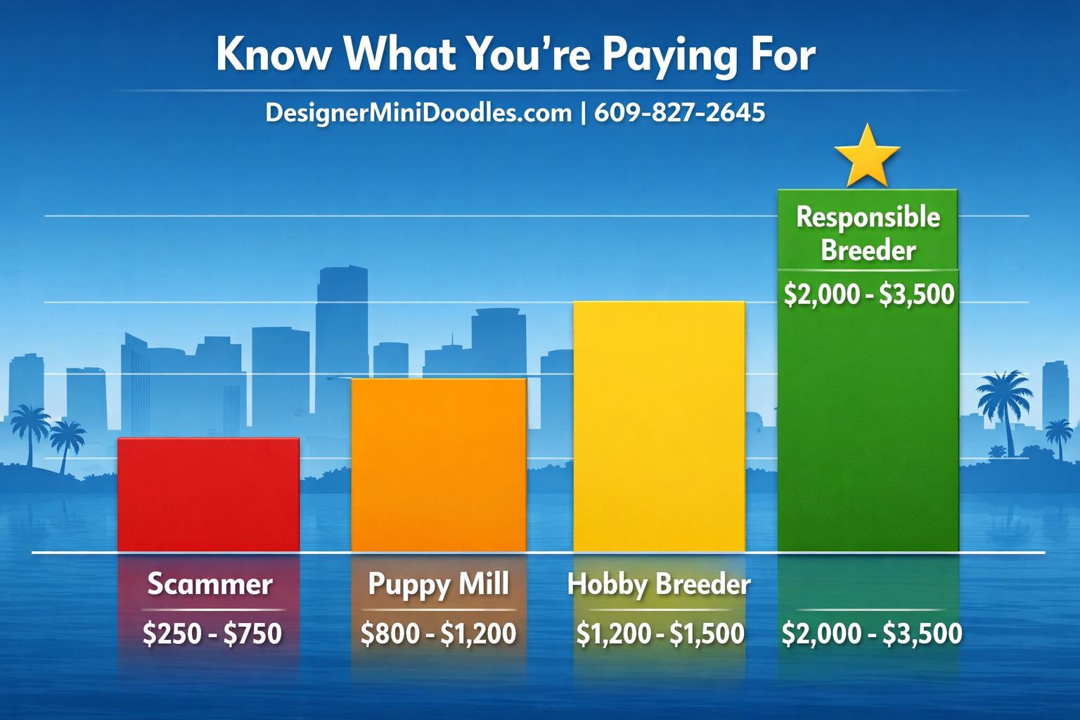 () infographic-style image showing a price comparison bar chart with four labeled columns: 'Scammer $250-$750' in red,