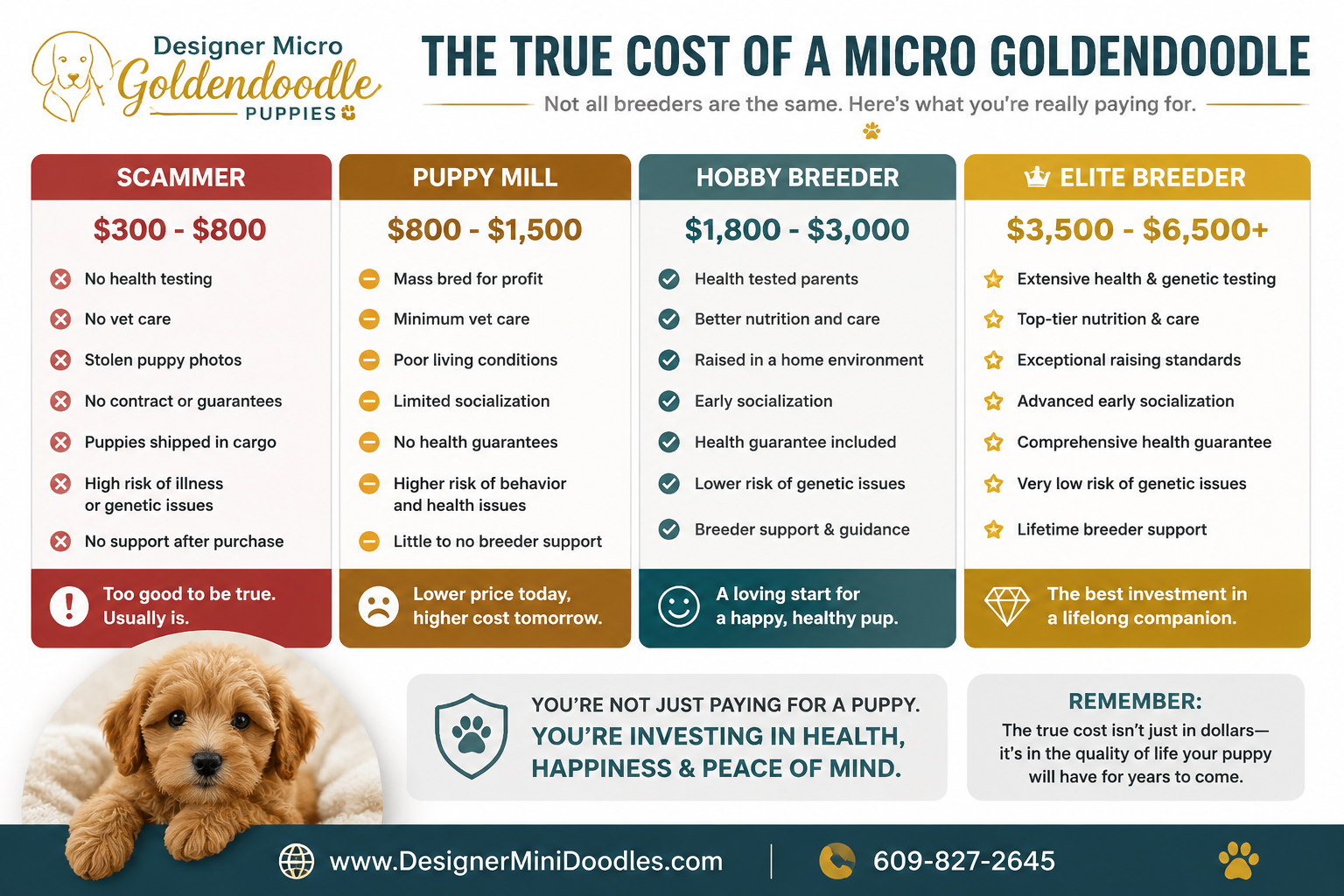 How Much Does a Micro Goldendoodle Puppy Cost in Orlando?