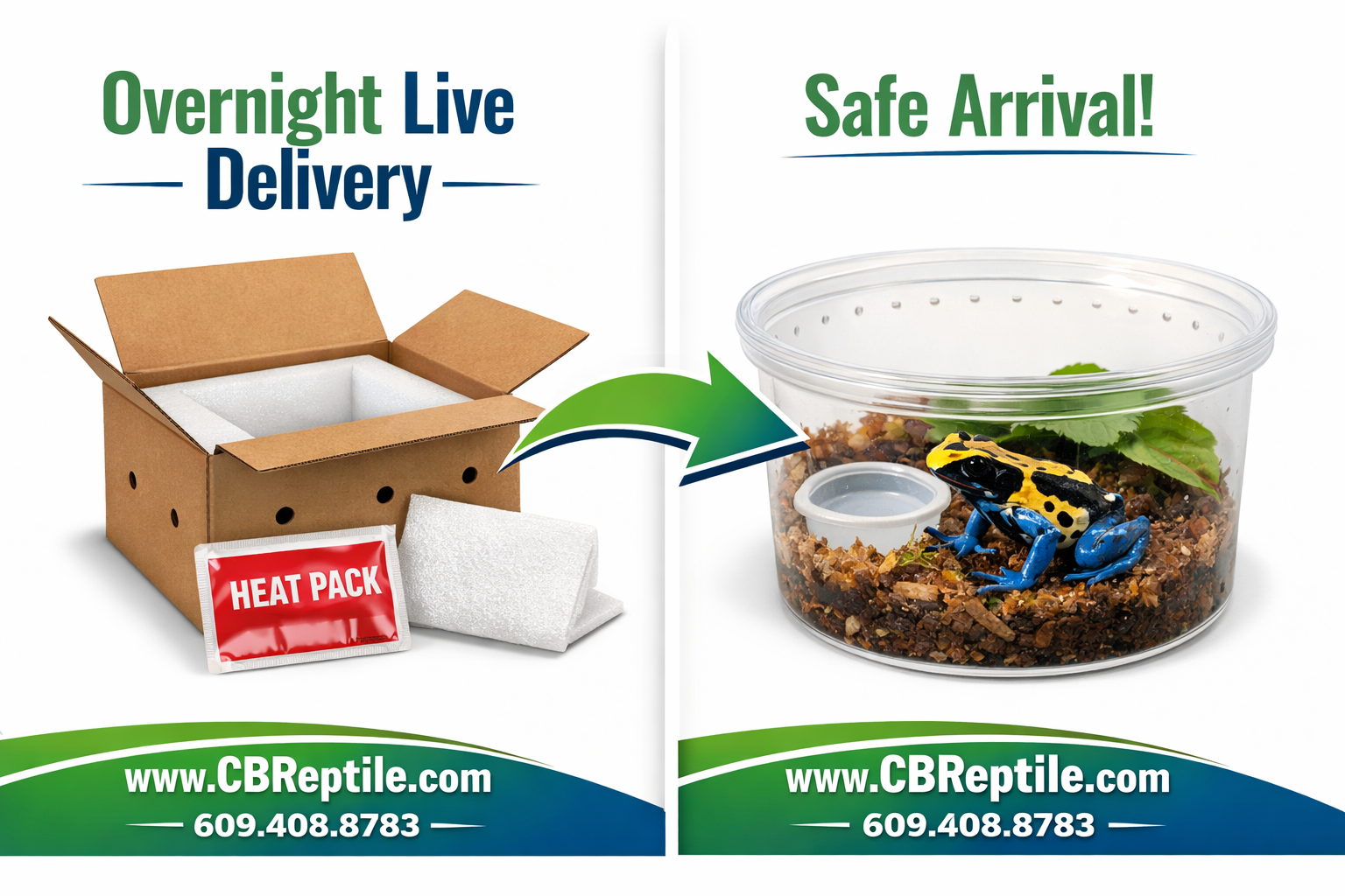 () split-panel infographic style image: left panel shows a cardboard shipping box with ventilation holes, heat pack, and