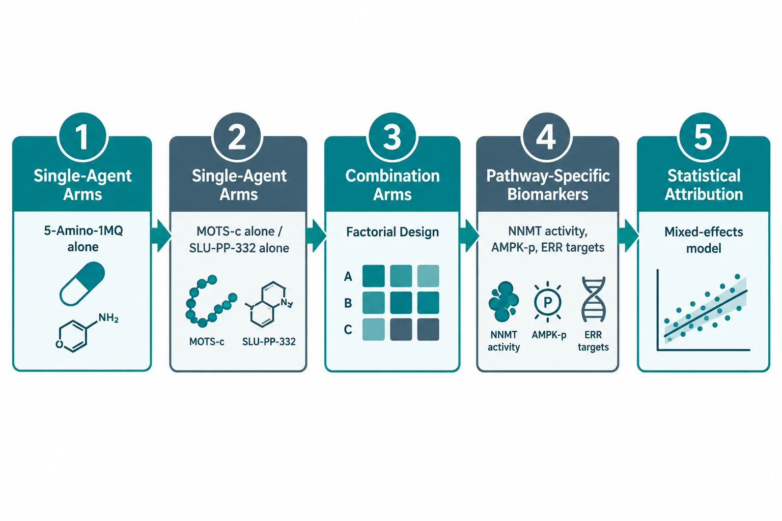 Designing Assays That Cleanly Separate NNMT-Related Readouts From MOTS-c and SLU-PP-332 Effects