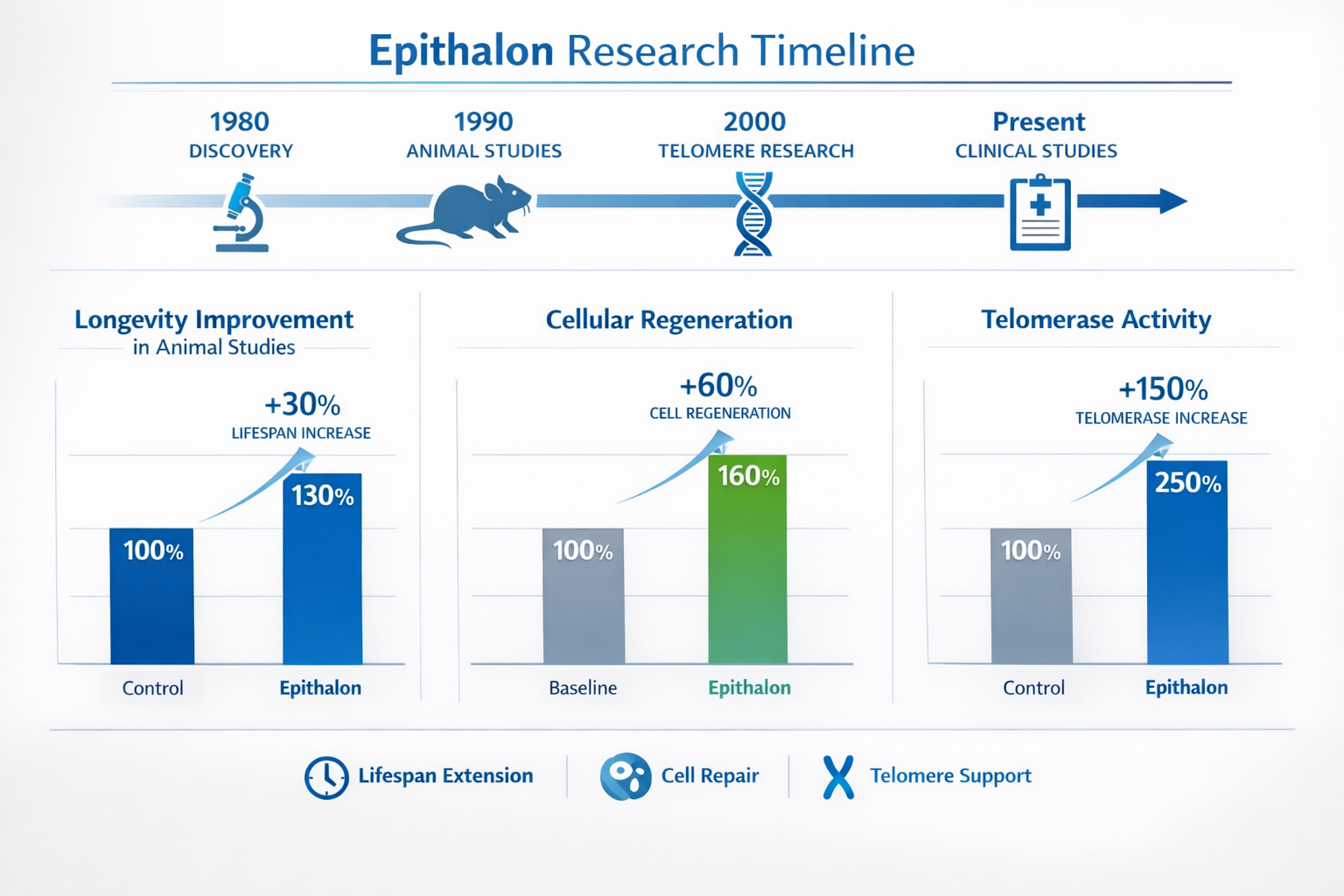 Professional landscape format (1536x1024) infographic displaying epithalon research timeline from discovery to current studies, featuring ba