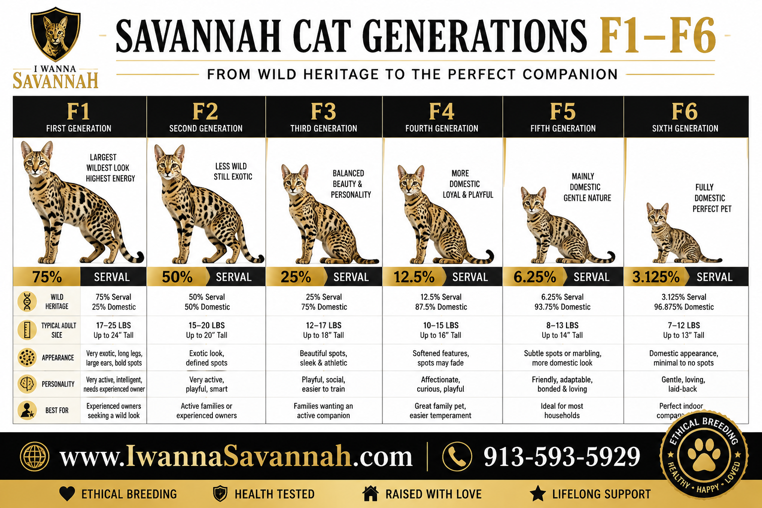 F1 Savannah Cat