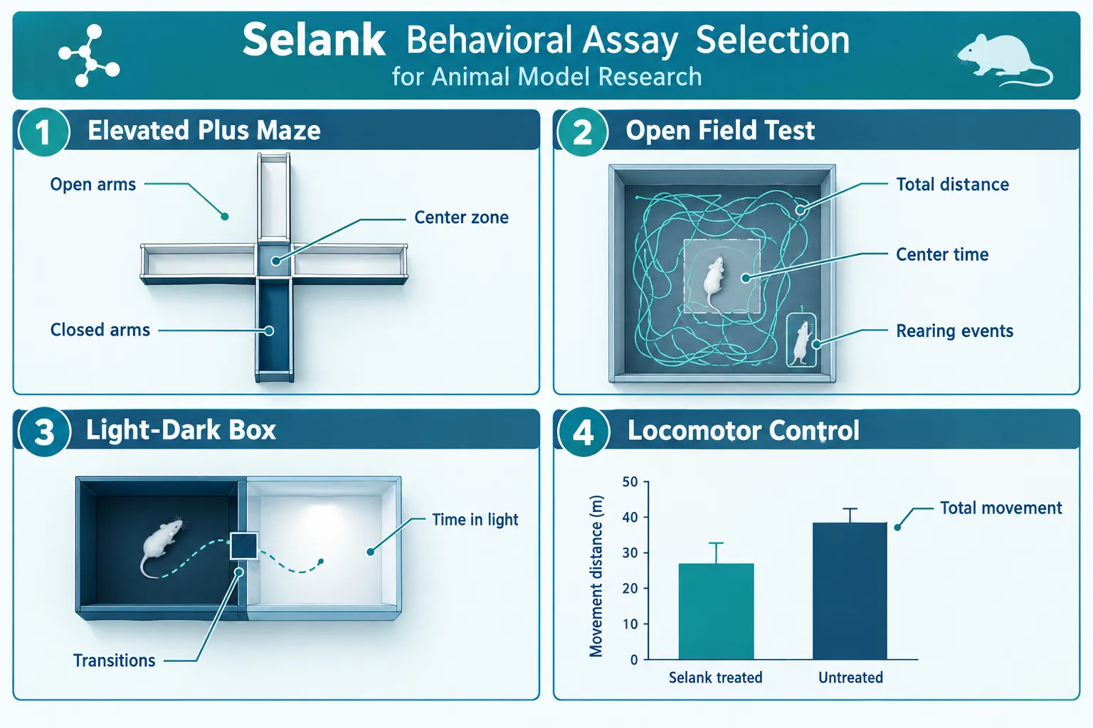 Behavioral Assay Selection in Selank Peptide Research