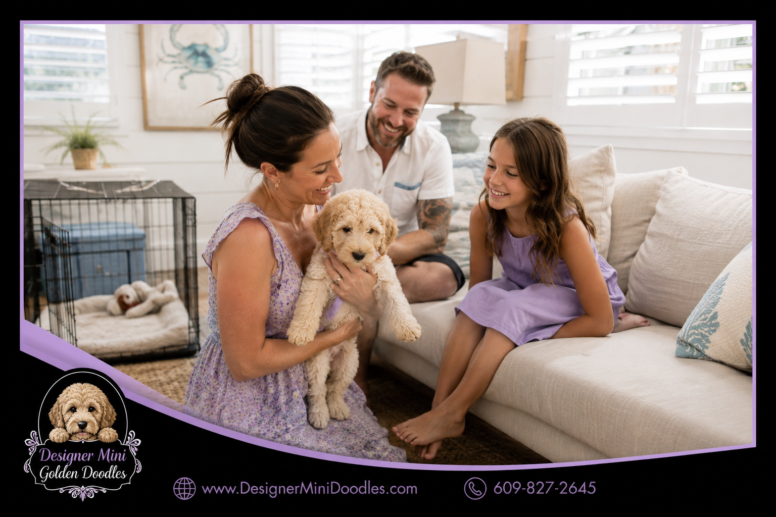 mini golden doodle Florida