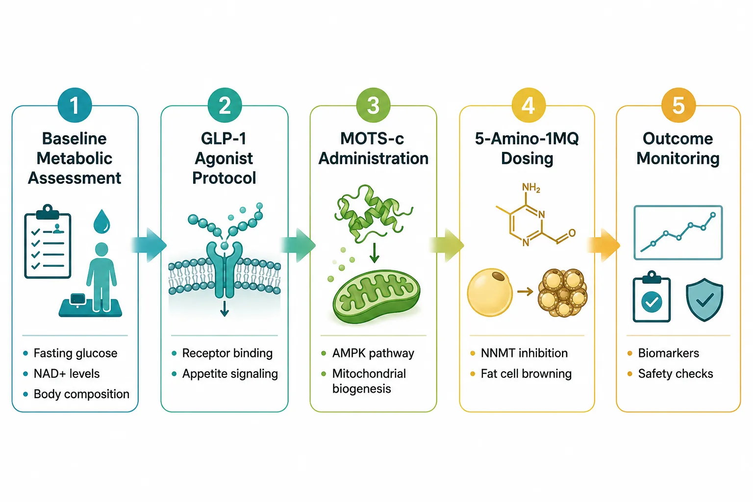 Combining Mitochondrial Peptides With GLP-1 Agonists and NAD+ Precursors