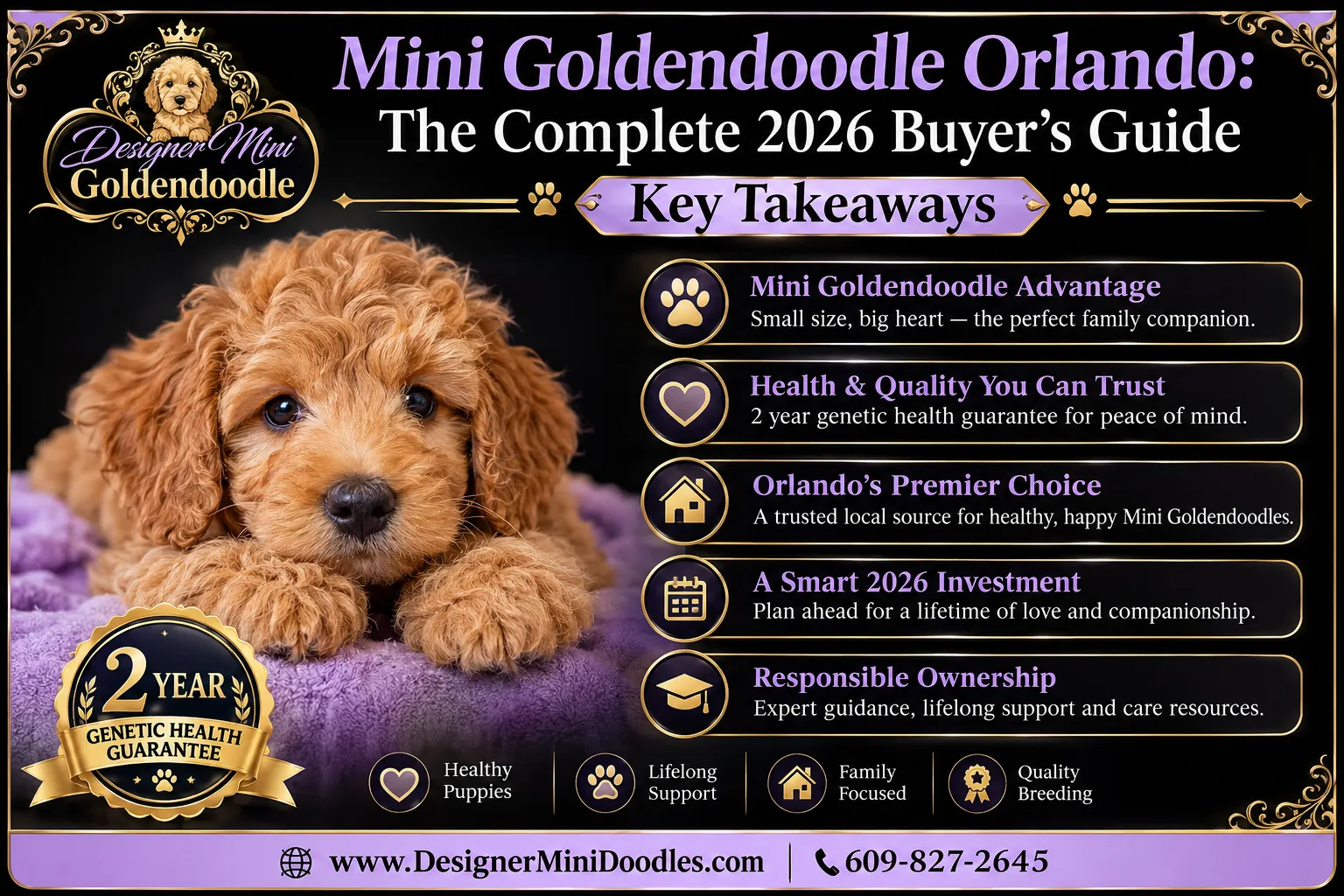 mini goldendoodle Orlando