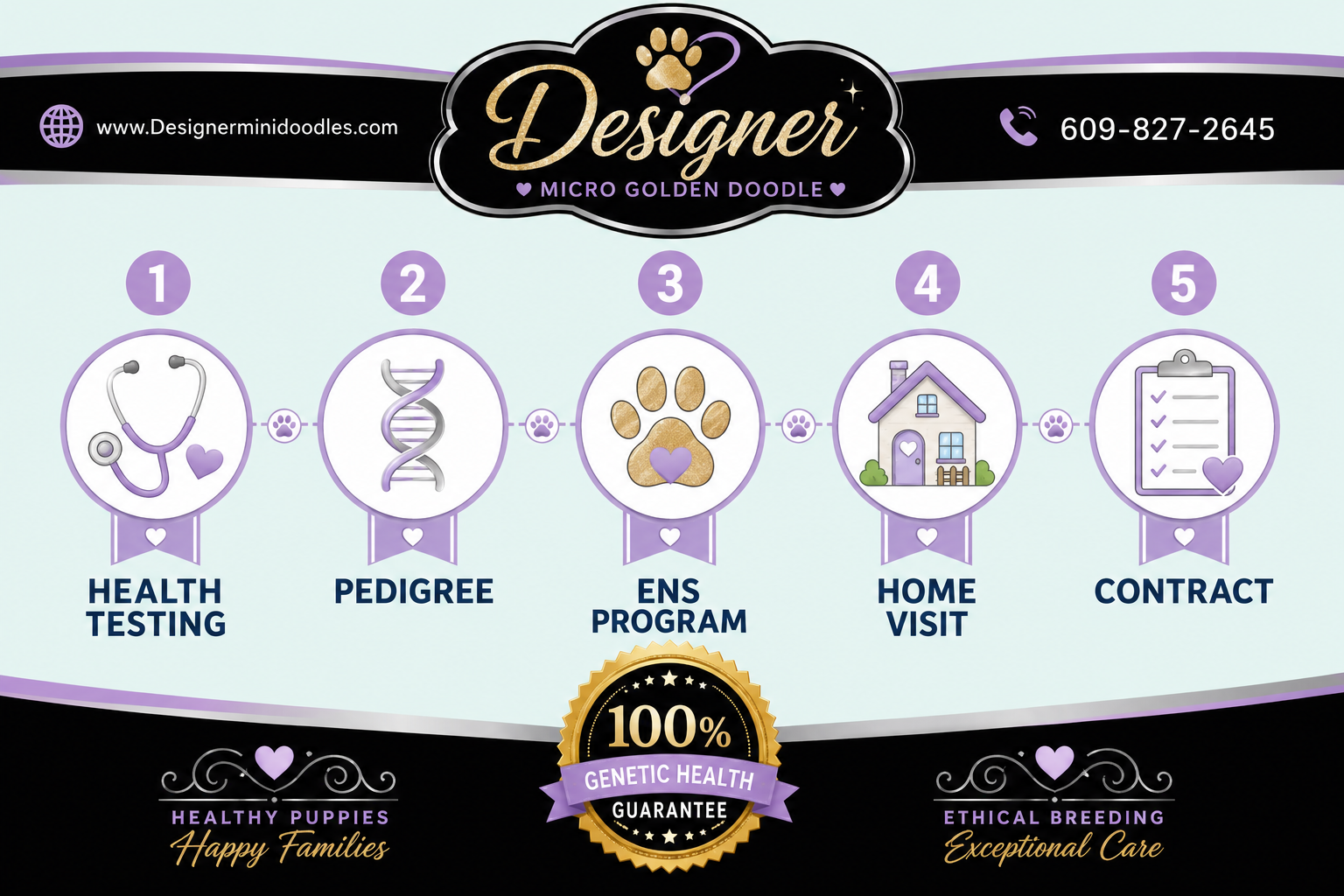 How to Find Reputable Micro Goldendoodle Breeders