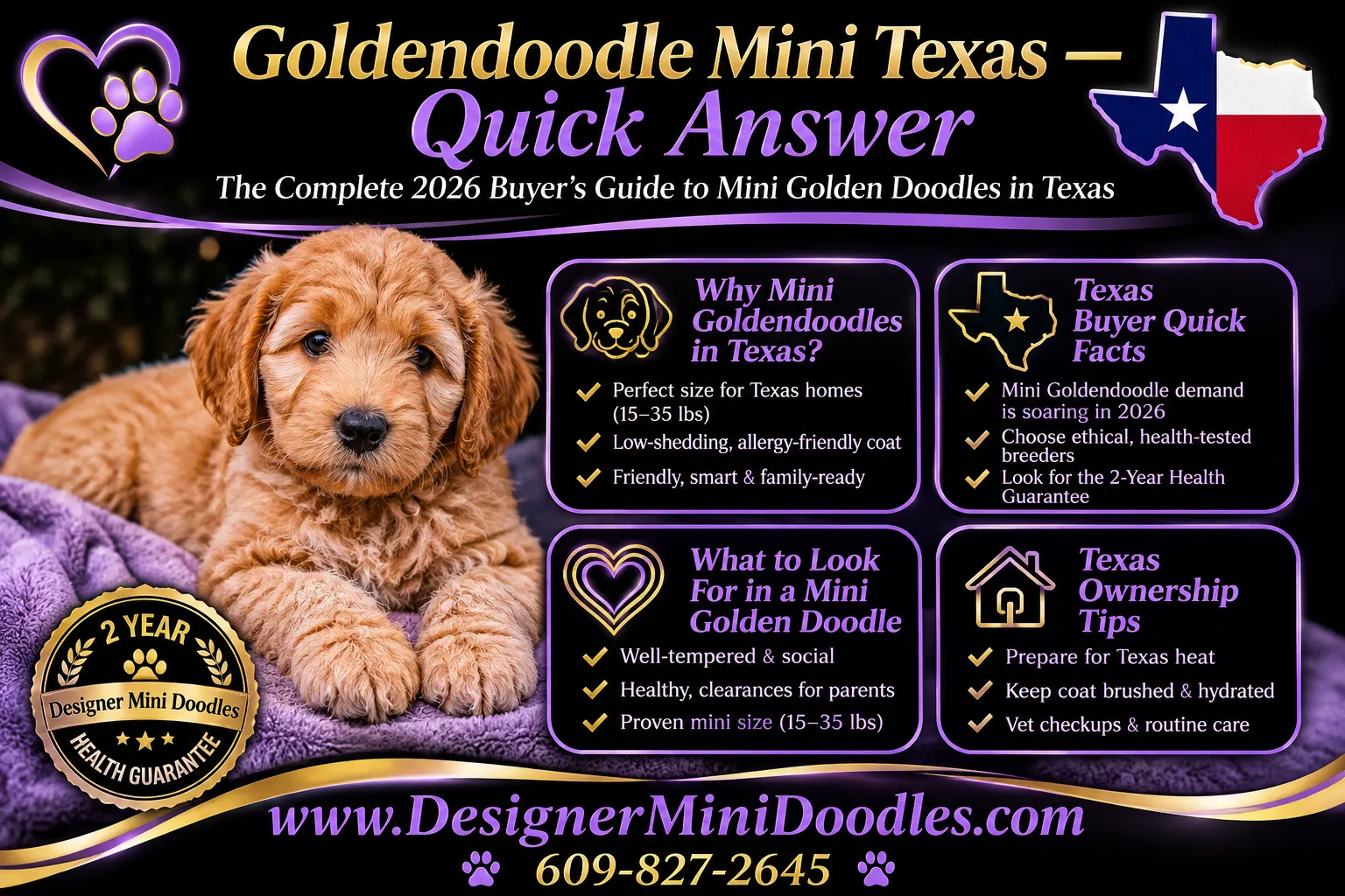 goldendoodle mini Texas