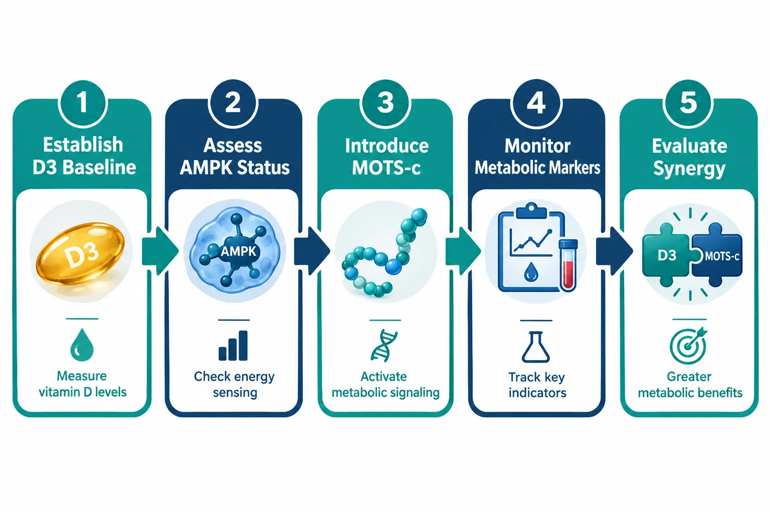 Designing the Best Vitamin D3 and Mitochondrial Peptide Stacks: Optimizing Nuclear Receptor and MOTS-c Signaling Pathways