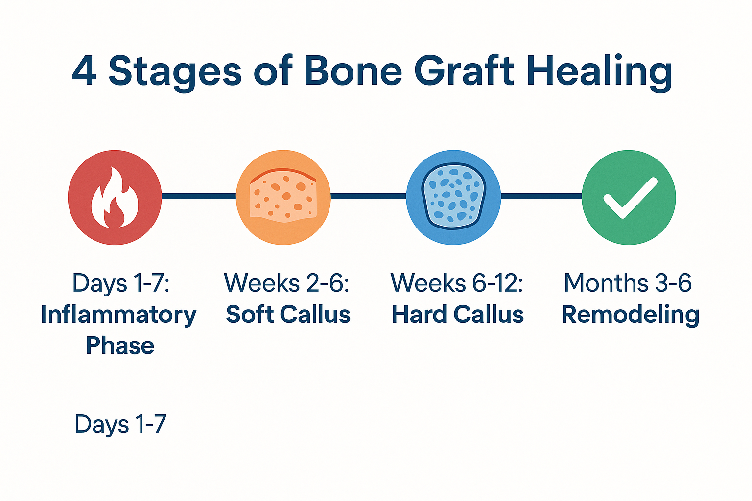 Understanding Dental Bone Graft Healing Stages: Your Complete Recovery Guide
