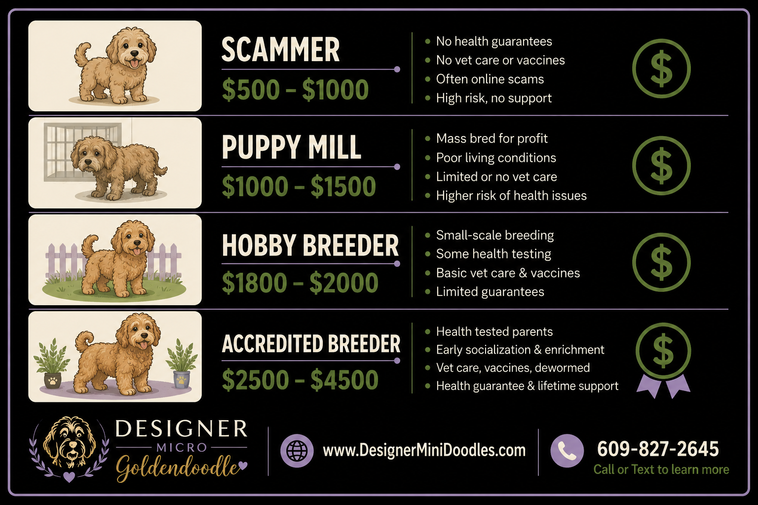 golden doodle mini breeders