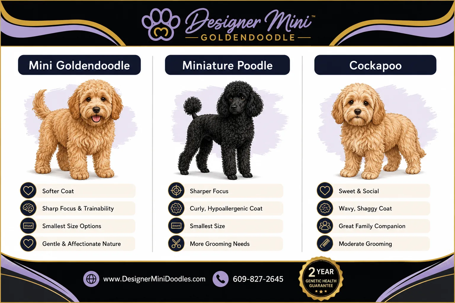 mini goldendoodle Ohio