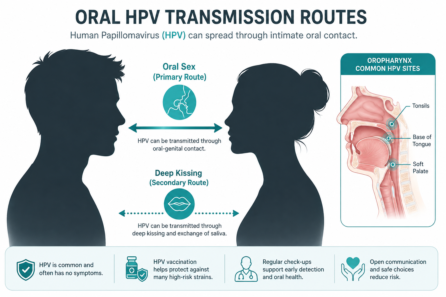 () clean medical diagram illustration showing oral HPV transmission routes between two silhouetted human figures facing each