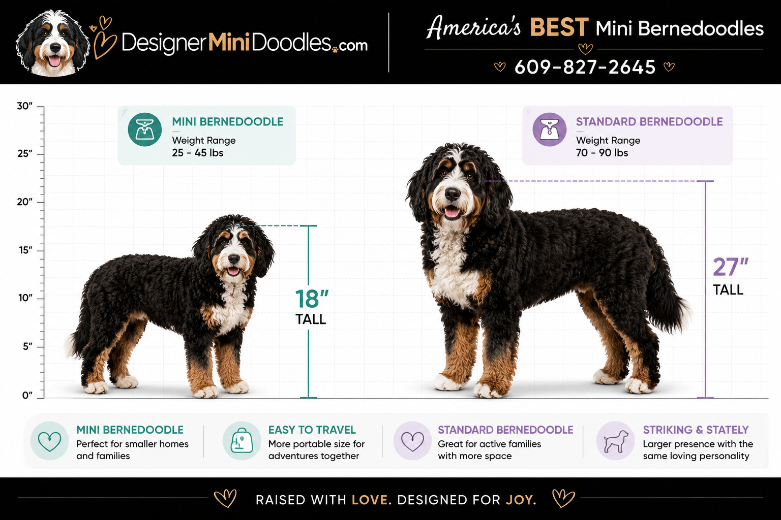 Are Mini Bernedoodles Good With Kids and Families?