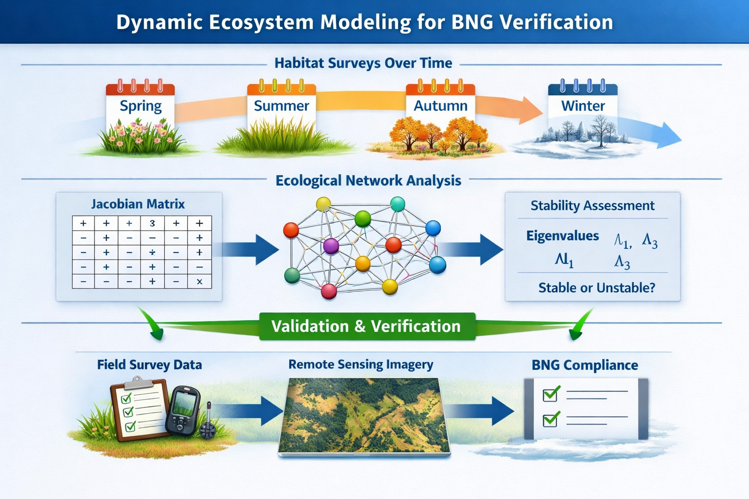 () conceptual diagram illustrating dynamic ecosystem modeling workflow for BNG verification. Top section shows temporal