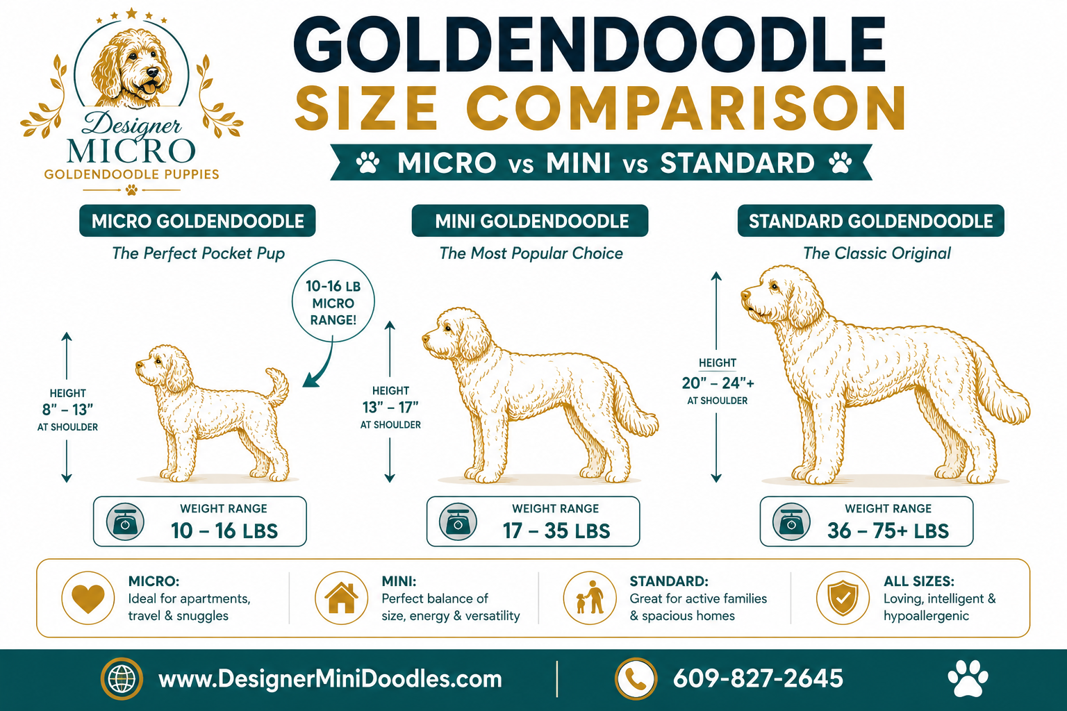 micro goldendoodle puppies Las Vegas